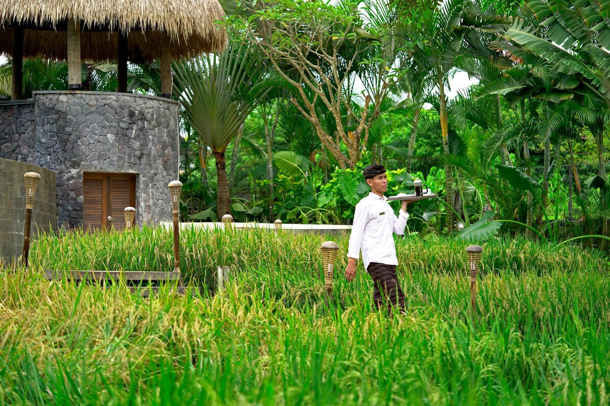 Lalasa * Canggu